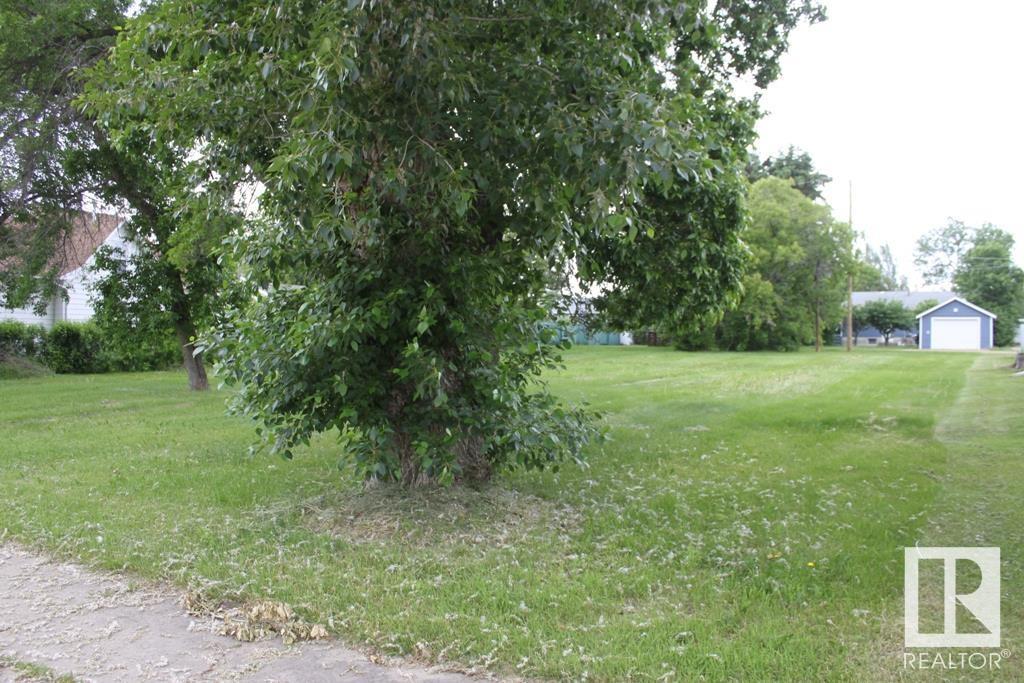 4820 54 Av, Tofield, Alberta  T0B 4J0 - Photo 3 - E4441174