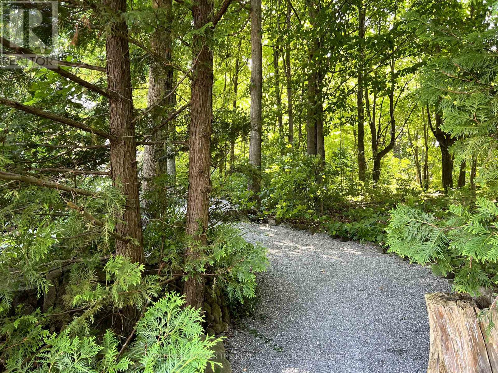 85 Grove Road, Kawartha Lakes, Ontario  K0M 1N0 - Photo 7 - X12202052