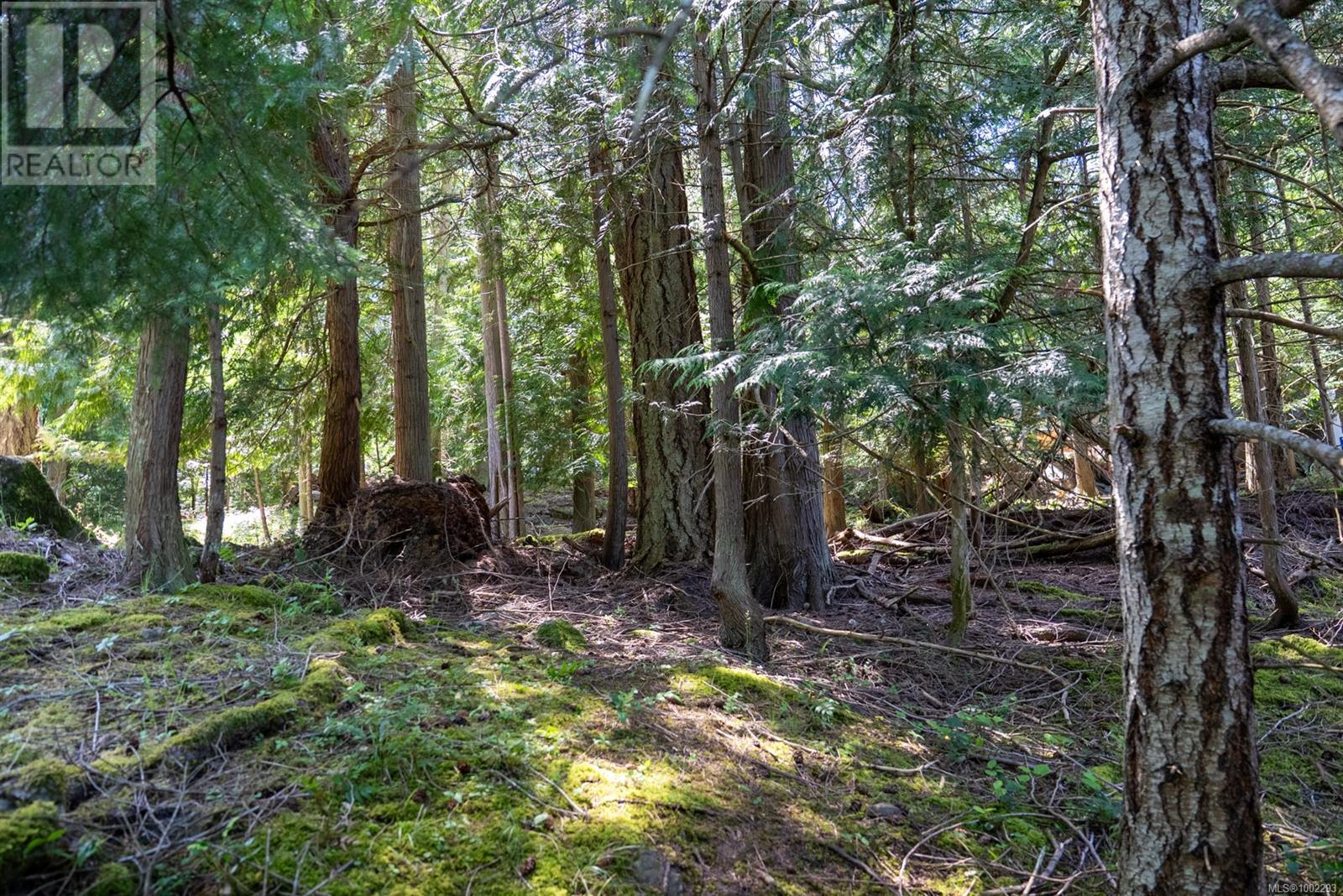 4849 Pirates Rd, Pender Island, British Columbia  V0N 2M2 - Photo 17 - 1002293