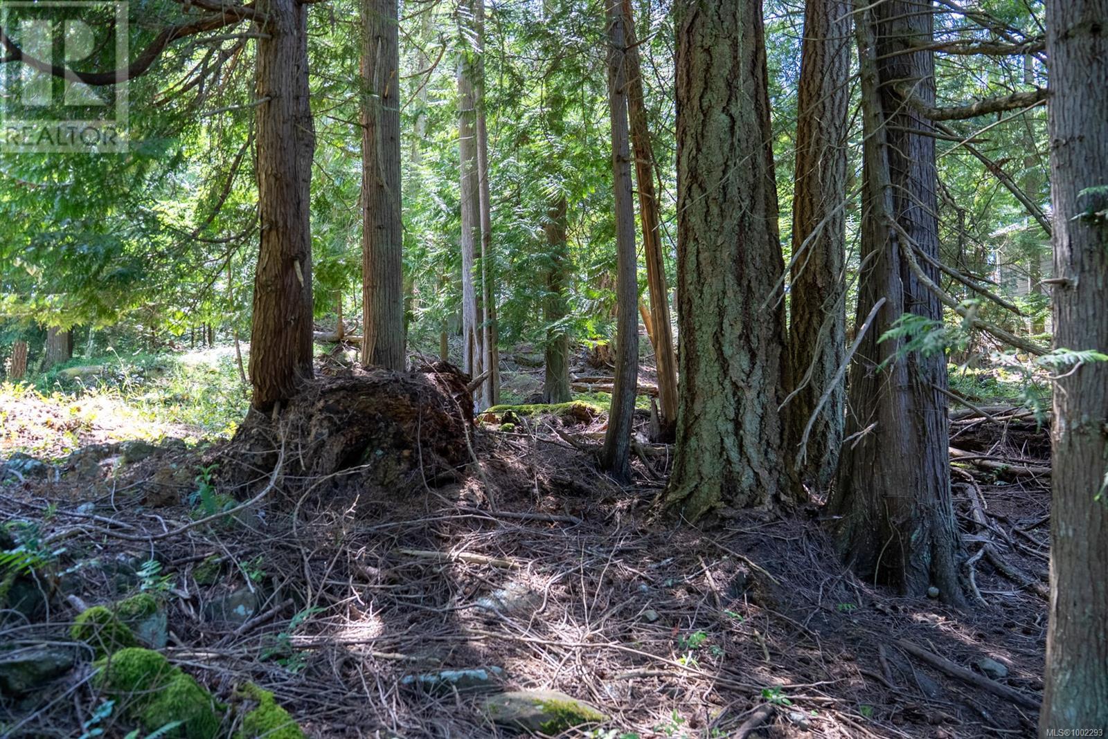 4849 Pirates Rd, Pender Island, British Columbia  V0N 2M2 - Photo 18 - 1002293