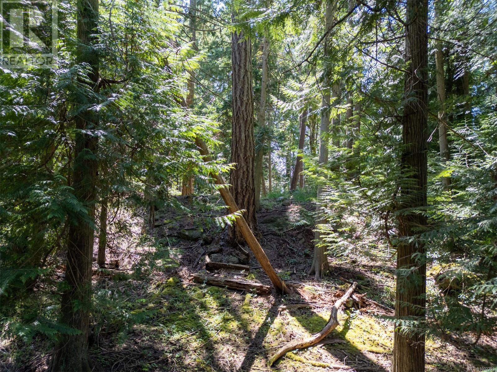 4849 Pirates Rd, Pender Island, British Columbia  V0N 2M2 - Photo 6 - 1002293