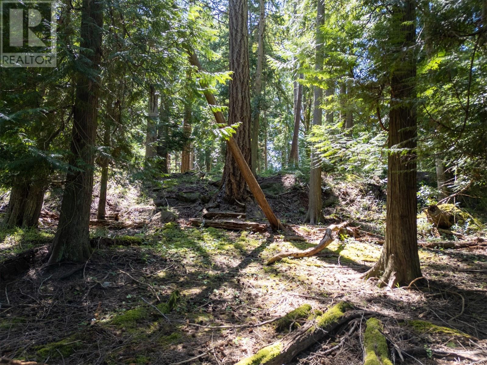 4849 Pirates Rd, Pender Island, British Columbia  V0N 2M2 - Photo 8 - 1002293