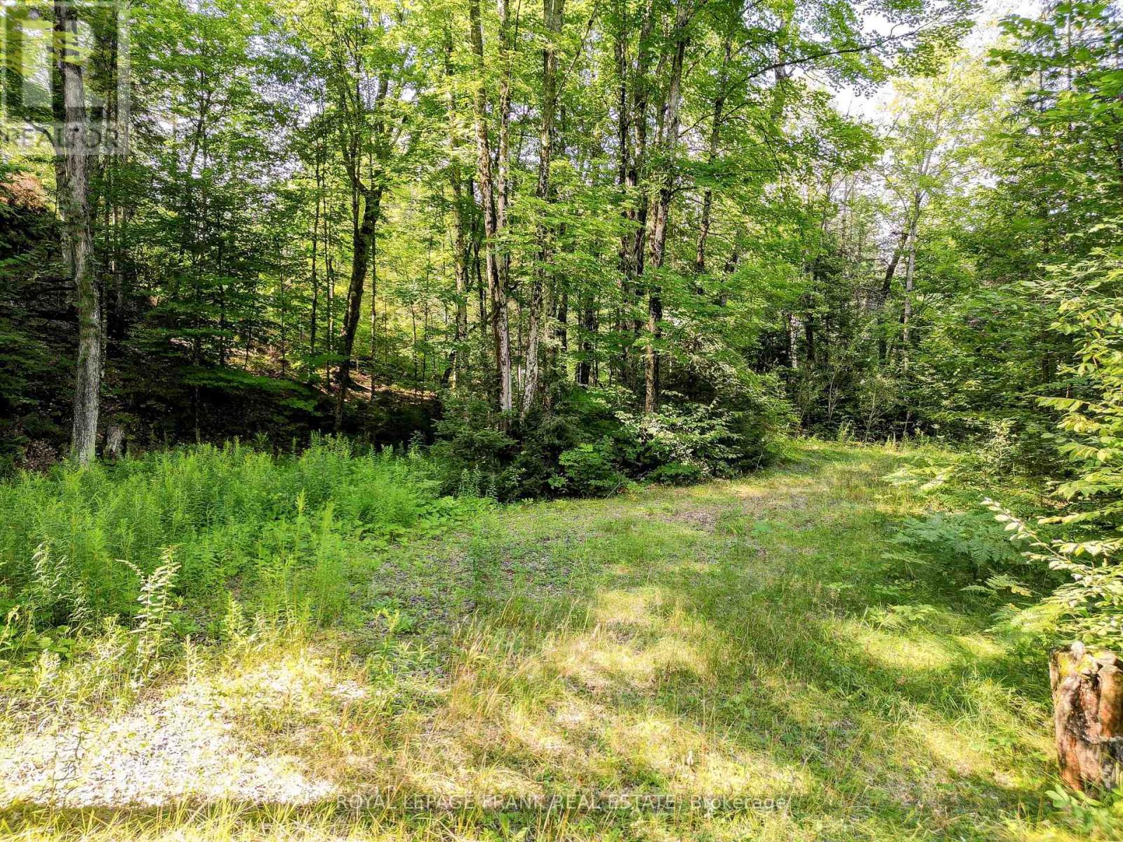 843 Lasswade Road, North Kawartha, Ontario  K0L 1A0 - Photo 7 - X12008493