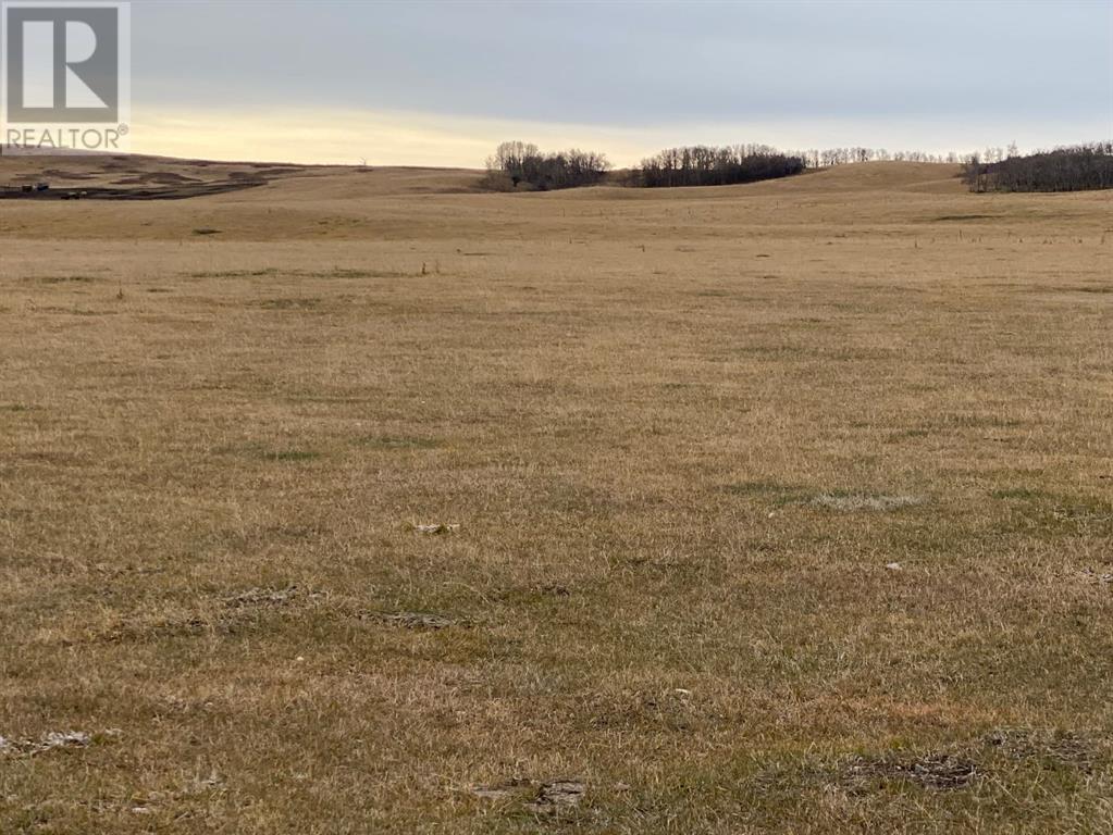 On Township Road 431, Rural Ponoka County, Alberta  T4J 1R1 - Photo 14 - A2186972