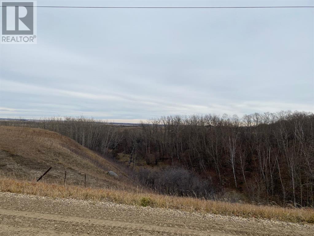 On Township Road 431, Rural Ponoka County, Alberta  T4J 1R1 - Photo 18 - A2186972