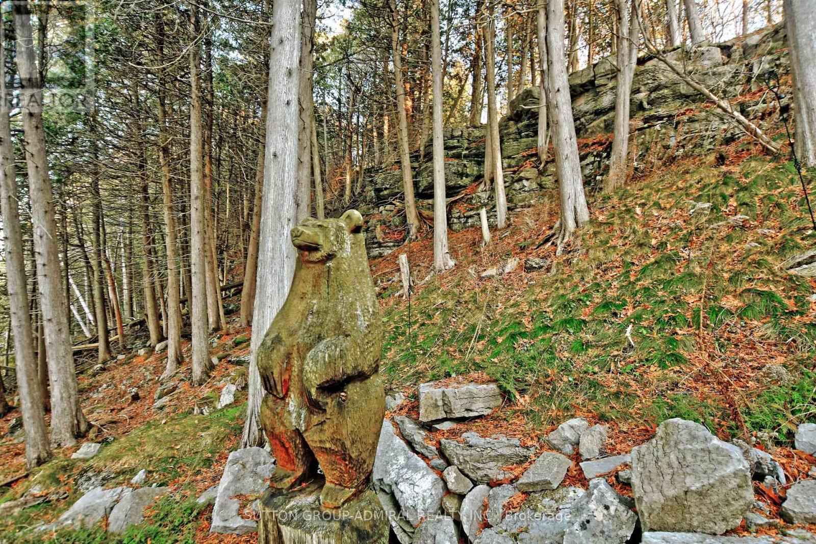15 Fire Route 67, Trent Lakes, Ontario  K0L 1J0 - Photo 39 - X12205152