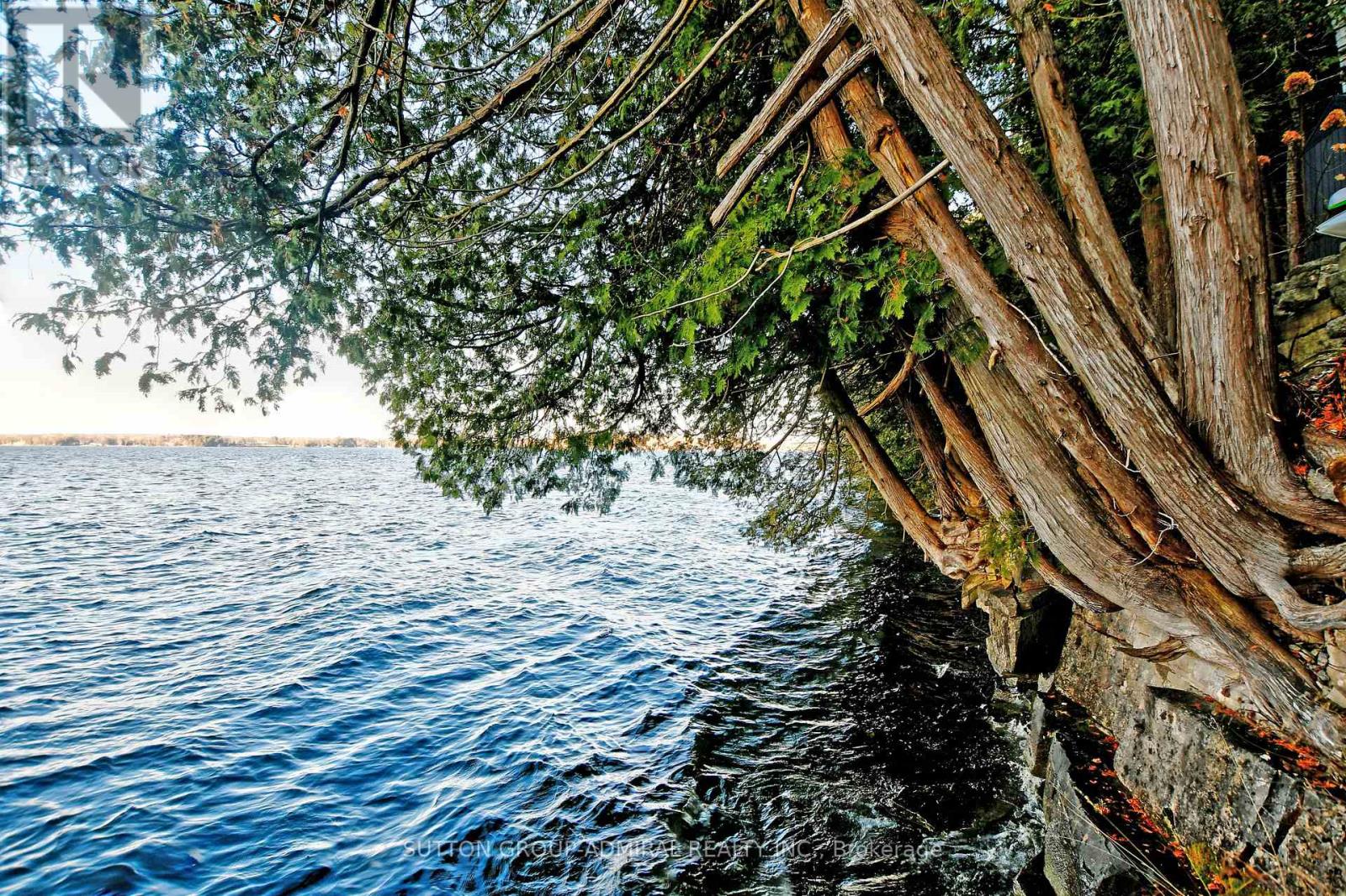 15 Fire Route 67, Trent Lakes, Ontario  K0L 1J0 - Photo 45 - X12205152