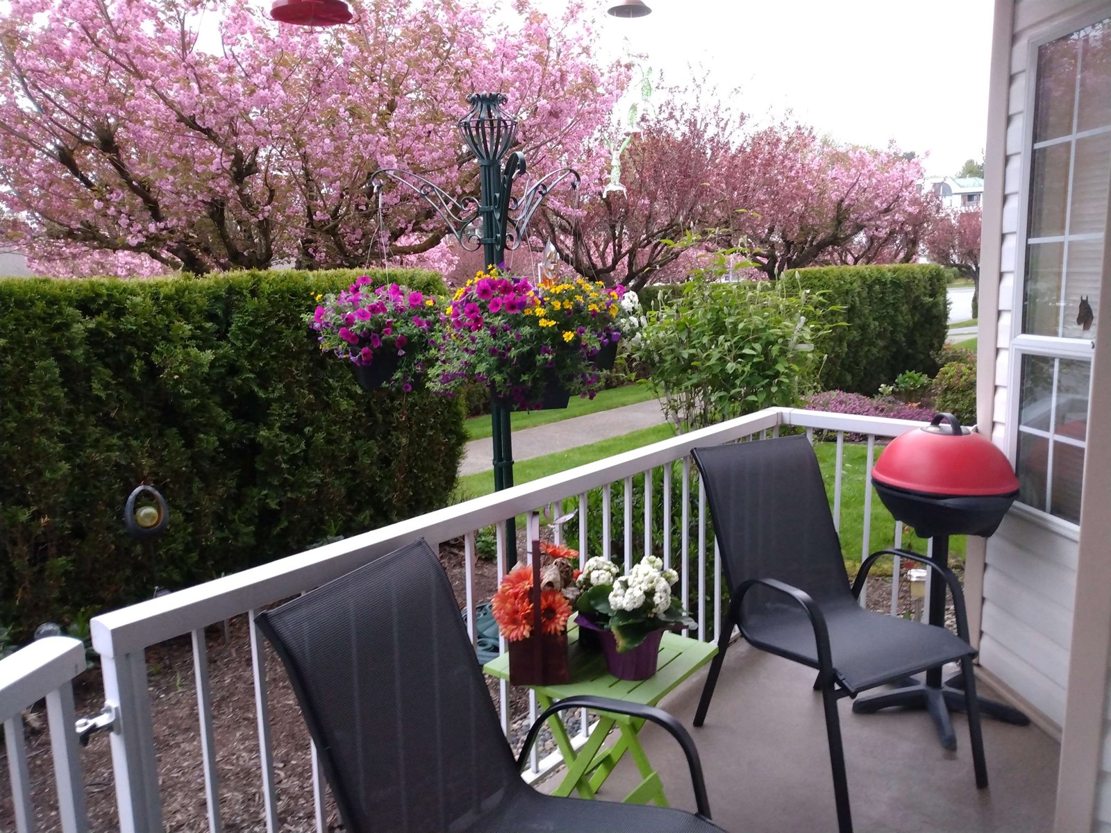 Property at 13 2919 TRAFALGAR STREET image 3