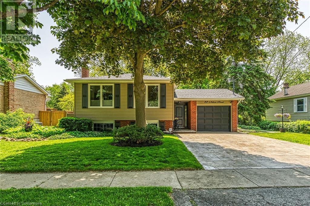 Property at 22 NELSON Street image 3