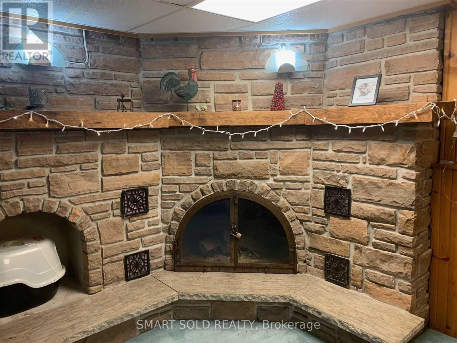 Basement - 271 Currey Crescent, Newmarket, Ontario  L3Y 5N2 - Photo 3 - N12205286