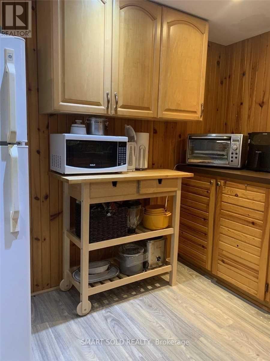 Basement - 271 Currey Crescent, Newmarket, Ontario  L3Y 5N2 - Photo 5 - N12205286