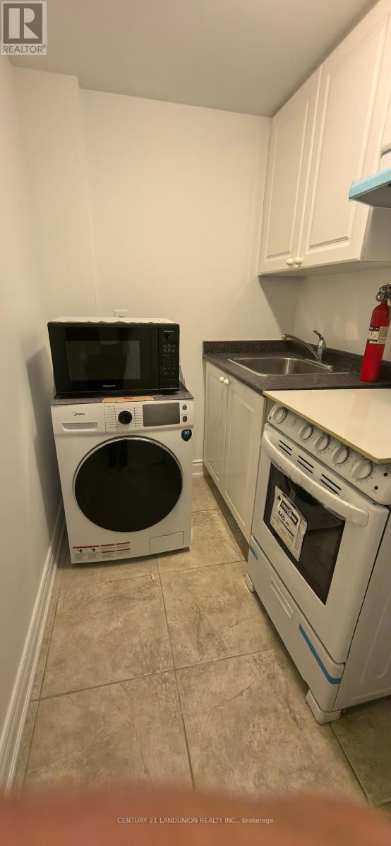 Basement - 59 Regatta Avenue, Richmond Hill, Ontario  L4E 4R1 - Photo 12 - N12192940