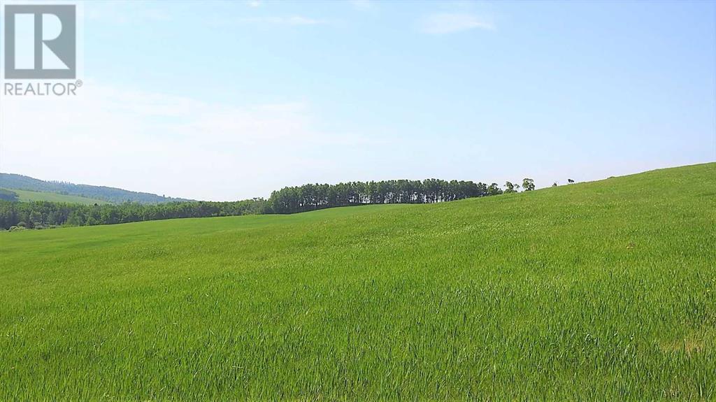 79.41 Acres Se-13-22-3w5, Rural Foothills County, Alberta  T1S 2T7 - Photo 32 - A2057428