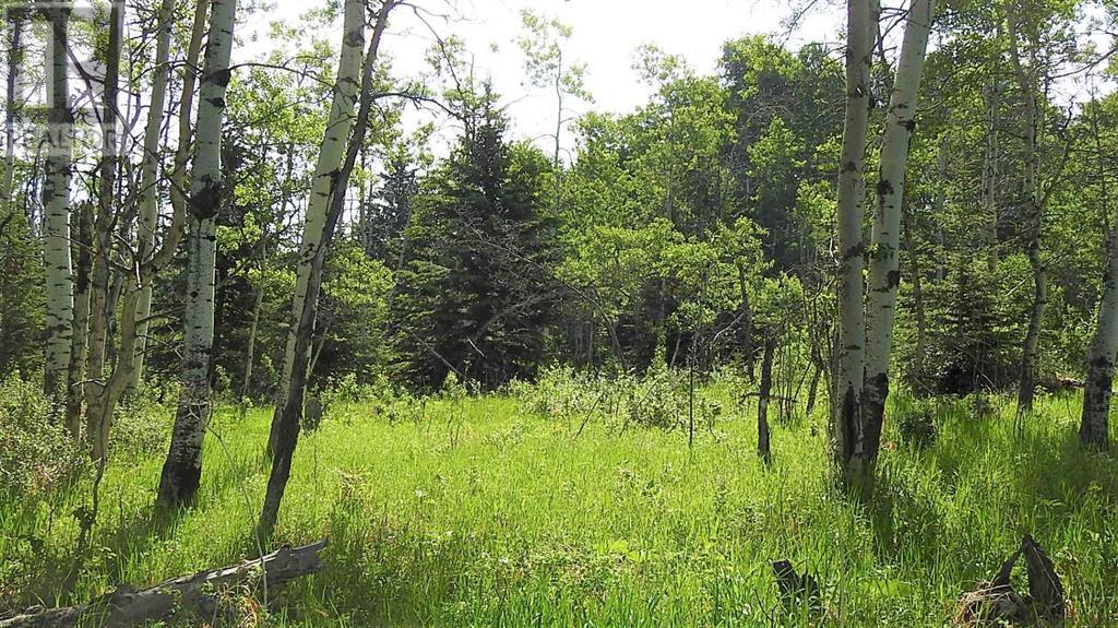 79.41 Acres Se-13-22-3w5, Rural Foothills County, Alberta  T1S 2T7 - Photo 33 - A2057428