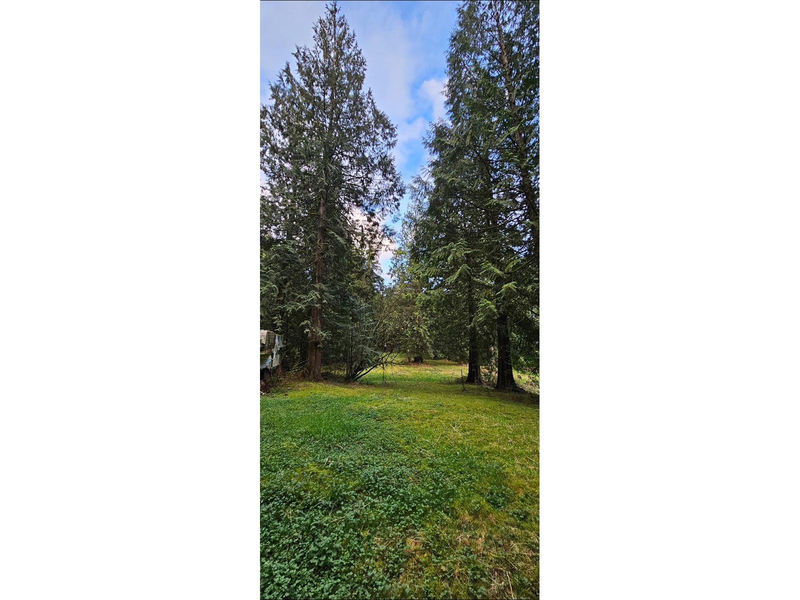 12917 Spratt Road, Mission, British Columbia  V2V 7K7 - Photo 3 - R3012304