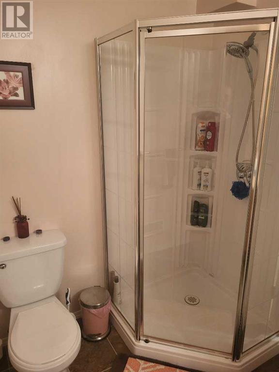 81 Tusslewood Drive Nw, Calgary, Alberta  T3L 2R7 - Photo 29 - A2228155