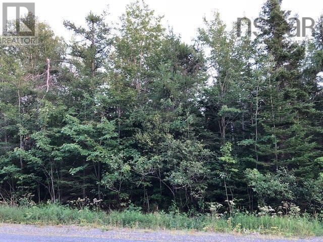 0 Brickyard Rd Mira Gut Land, Albert Bridge, Nova Scotia  B1K 2V5 - Photo 1 - 202513870