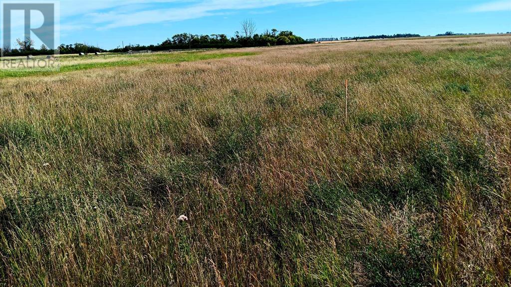 225206 Range Road 273, Rural Rocky View County, Alberta  T1X 0H8 - Photo 4 - A2190098