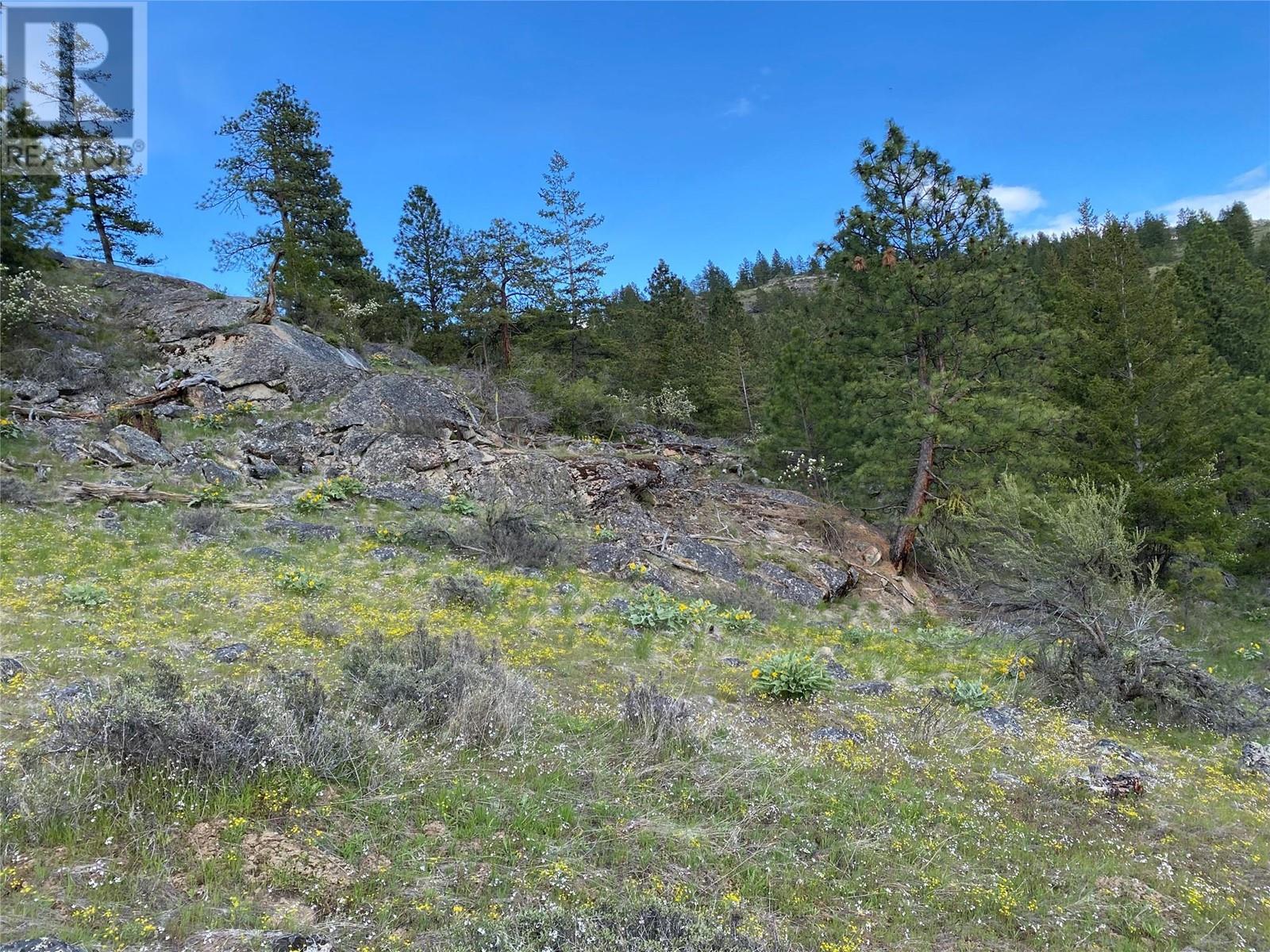 Lot 12 Blacktail Pl, Osoyoos, British Columbia  V0H 1V6 - Photo 19 - 10340281