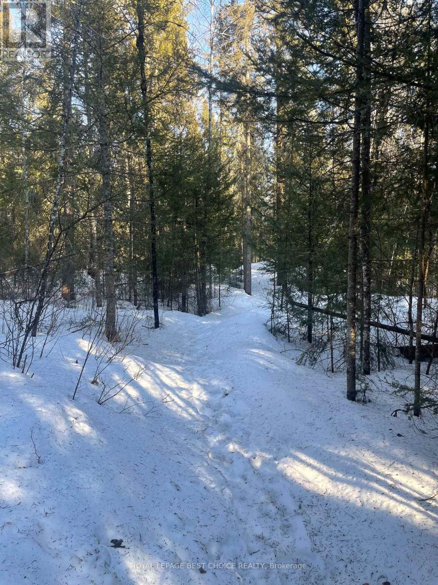468505 5 Road, Englehart, Ontario  P0J 1H0 - Photo 23 - T12081323