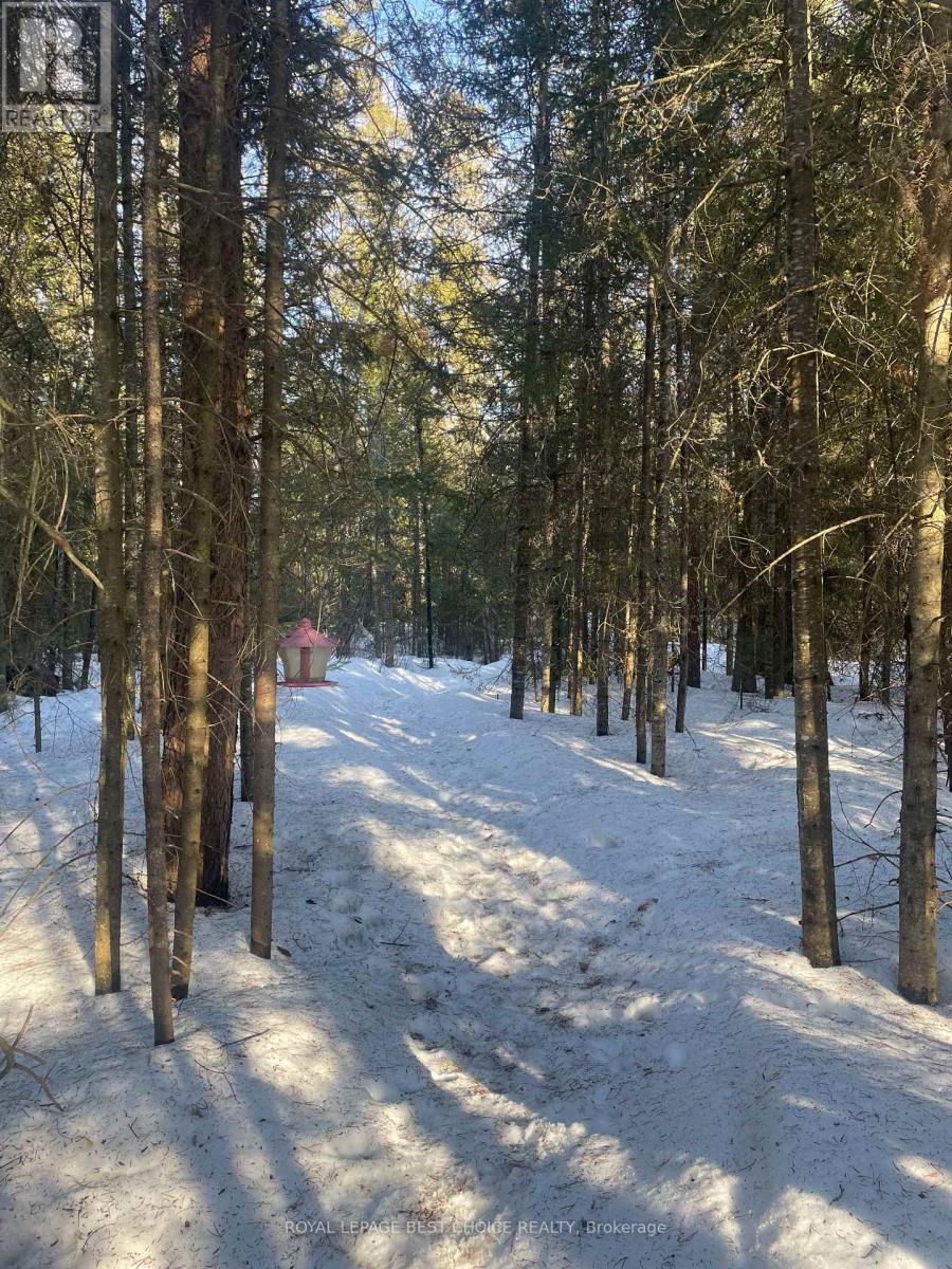 468505 5 Road, Englehart, Ontario  P0J 1H0 - Photo 24 - T12081323