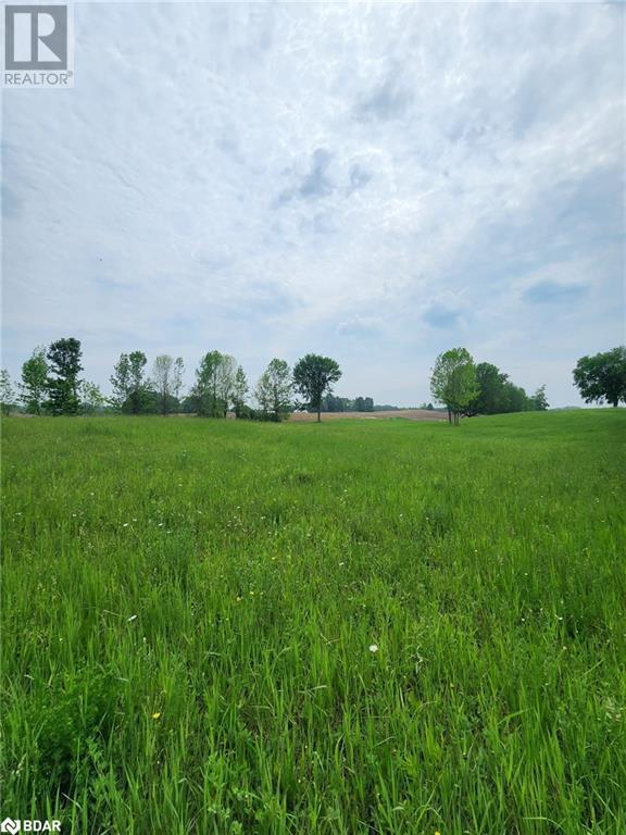 316486 Highway 6, Chatsworth, Ontario  N0H 1G0 - Photo 12 - 40716706