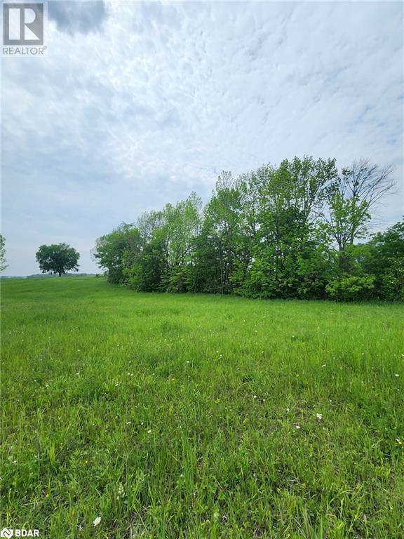 316486 Highway 6, Chatsworth, Ontario  N0H 1G0 - Photo 10 - 40716706