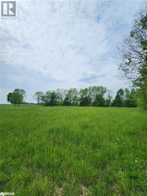 316486 Highway 6, Chatsworth, Ontario  N0H 1G0 - Photo 8 - 40716706