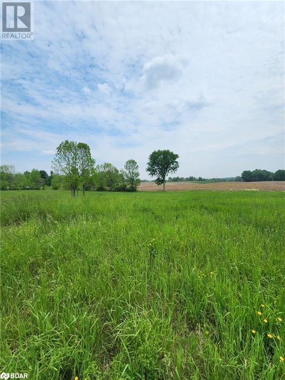 316486 Highway 6, Chatsworth, Ontario  N0H 1G0 - Photo 14 - 40716706
