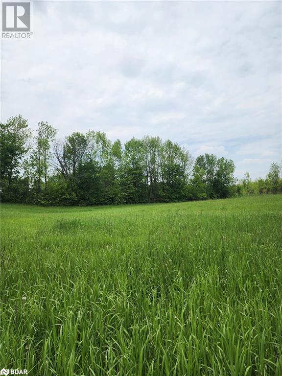 316486 Highway 6, Chatsworth, Ontario  N0H 1G0 - Photo 4 - 40716706
