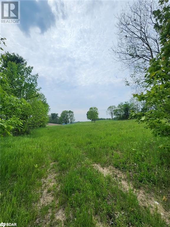 316486 Highway 6, Chatsworth, Ontario  N0H 1G0 - Photo 2 - 40716706