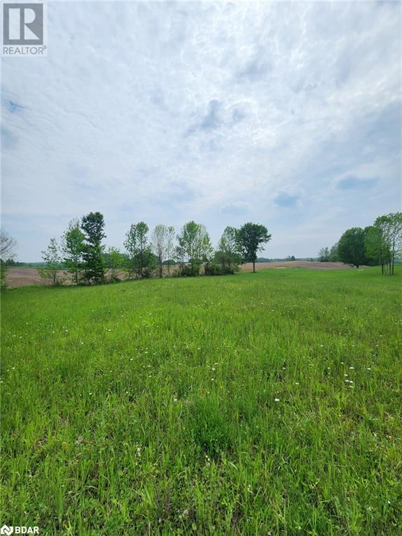 316486 Highway 6, Chatsworth, Ontario  N0H 1G0 - Photo 11 - 40716706