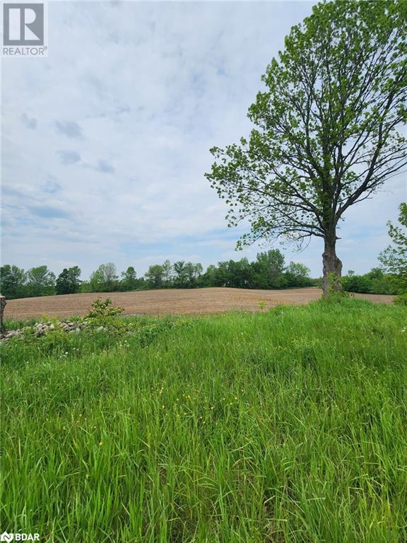 316486 Highway 6, Chatsworth, Ontario  N0H 1G0 - Photo 1 - 40716706