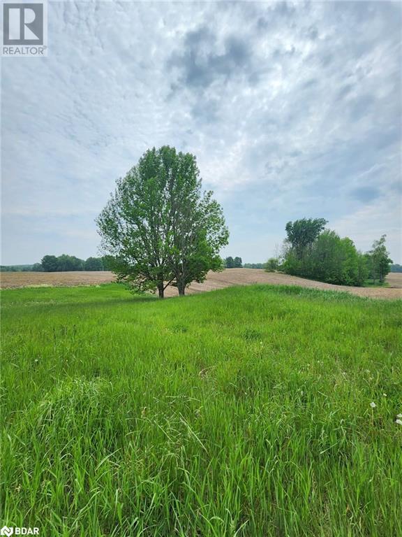 316486 Highway 6, Chatsworth, Ontario  N0H 1G0 - Photo 17 - 40716706