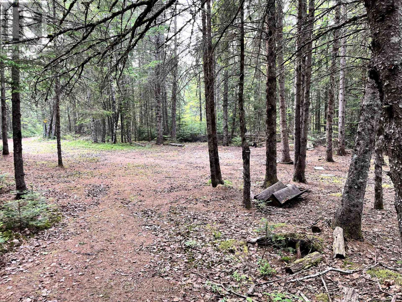 0 Redford Drive, Addington Highlands (Addington Highlands), Ontario  K0H 1L0 - Photo 10 - X12205836