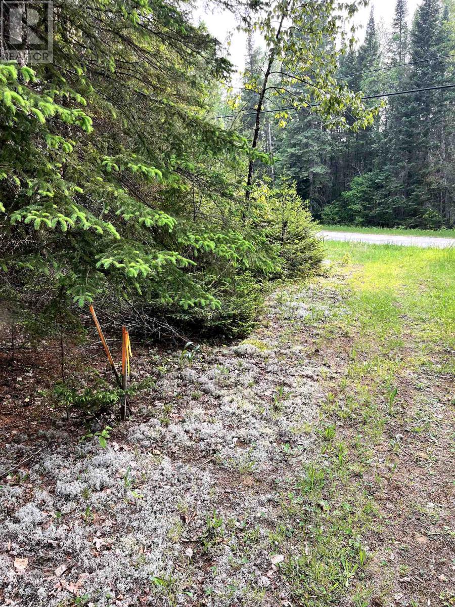 0 Redford Drive, Addington Highlands (Addington Highlands), Ontario  K0H 1L0 - Photo 16 - X12205836