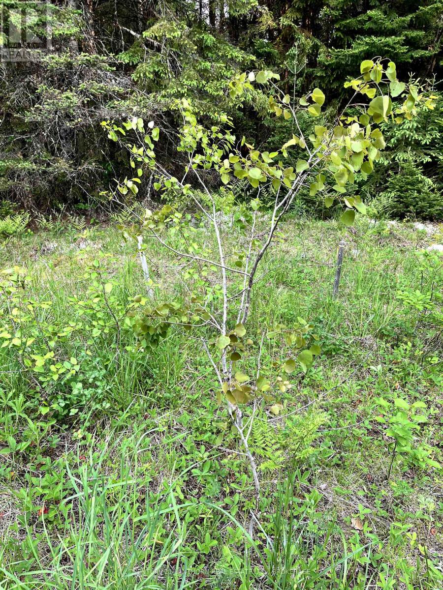 0 Redford Drive, Addington Highlands (Addington Highlands), Ontario  K0H 1L0 - Photo 18 - X12205836