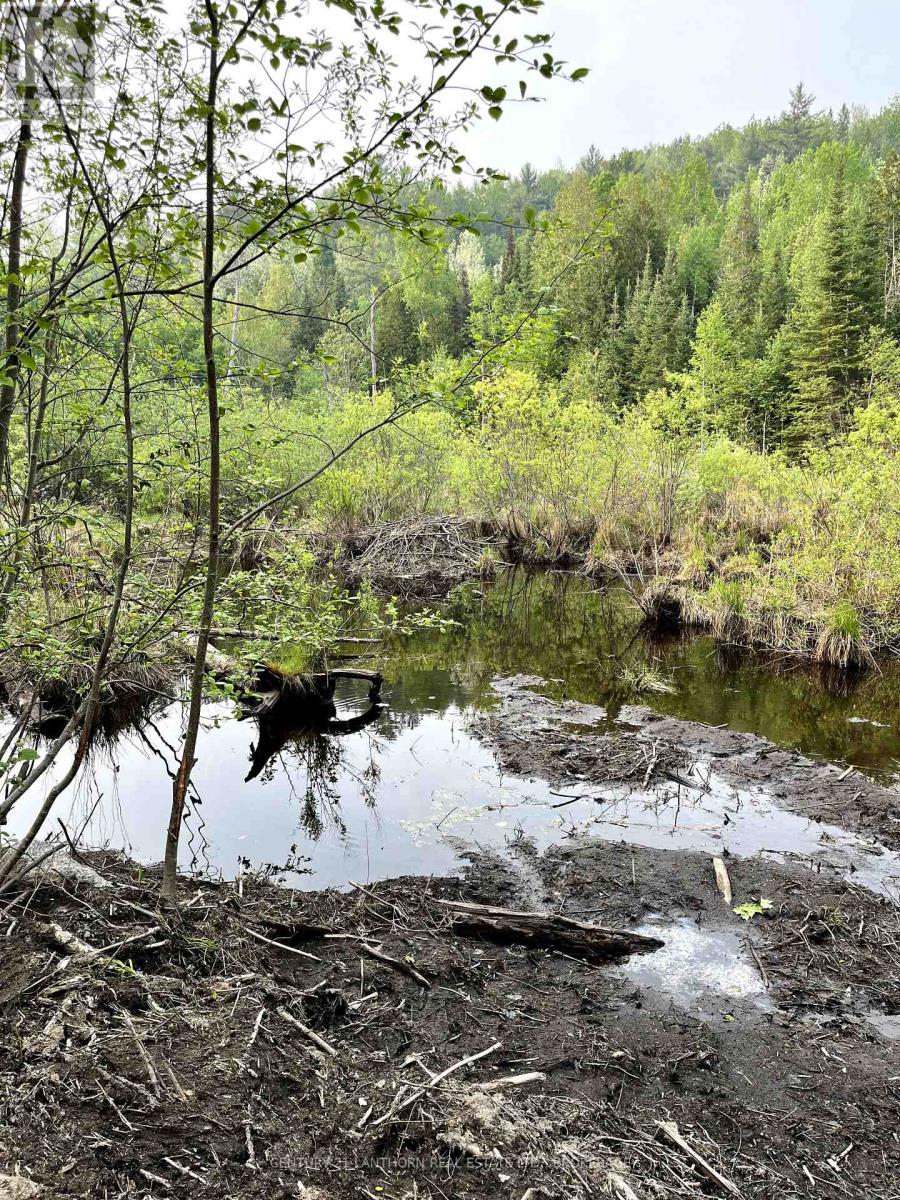 0 Redford Drive, Addington Highlands (Addington Highlands), Ontario  K0H 1L0 - Photo 22 - X12205836