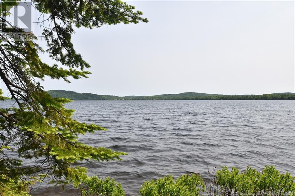 B Island , Harvey Lake, Harvey, New Brunswick  E6K 1N6 - Photo 6 - NB120161