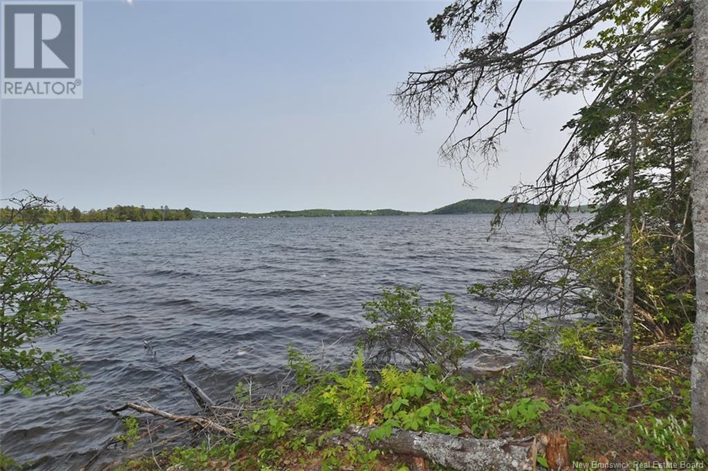 B Island , Harvey Lake, Harvey, New Brunswick  E6K 1N6 - Photo 17 - NB120161