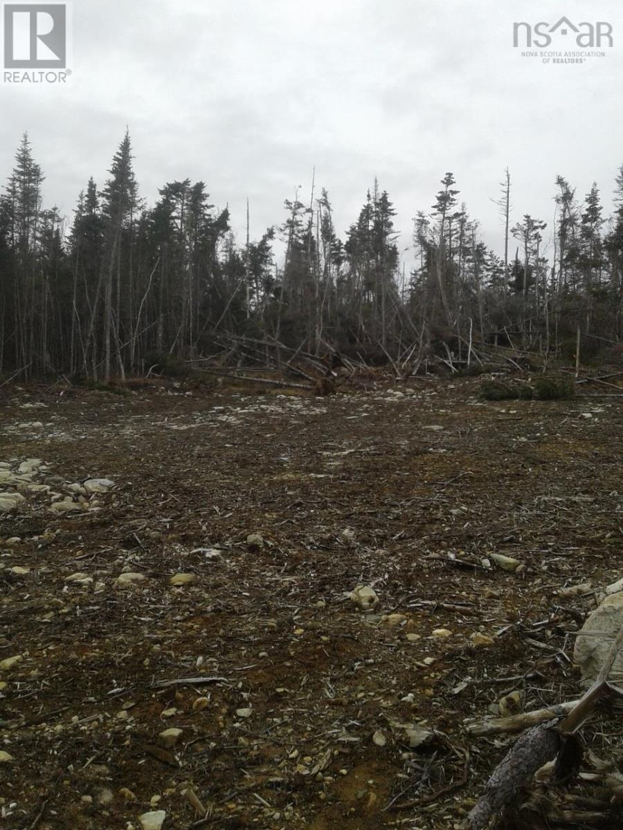 No # Terra Nova Road, Louisbourg, Nova Scotia