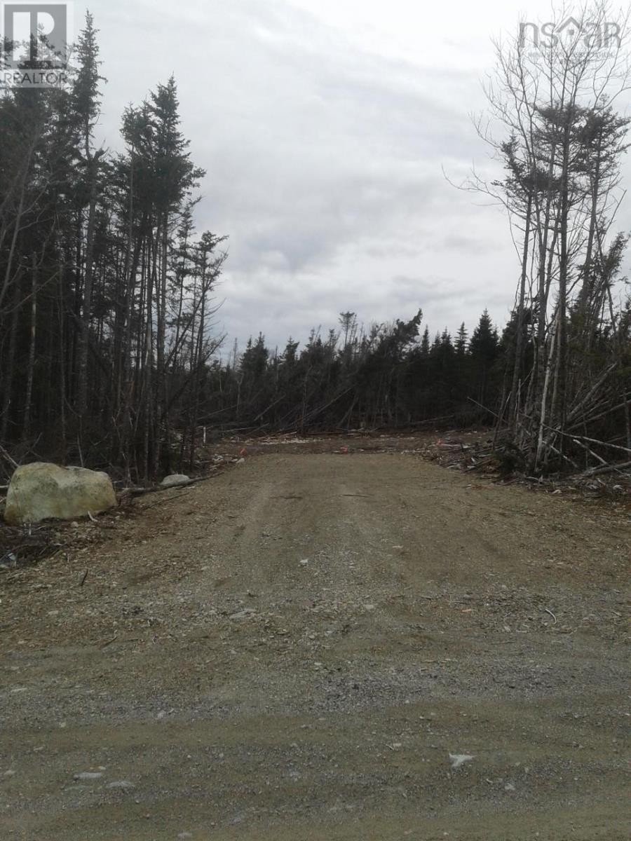 No # Terra Nova Road, Louisbourg, Nova Scotia  B1C 1H6 - Photo 4 - 202509012