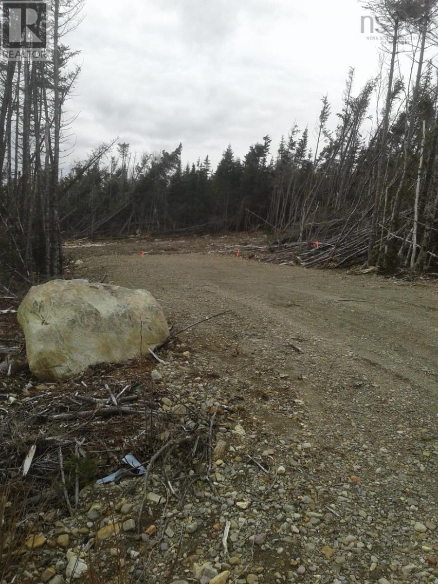 No # Terra Nova Road, Louisbourg, Nova Scotia  B1C 1H6 - Photo 3 - 202509012