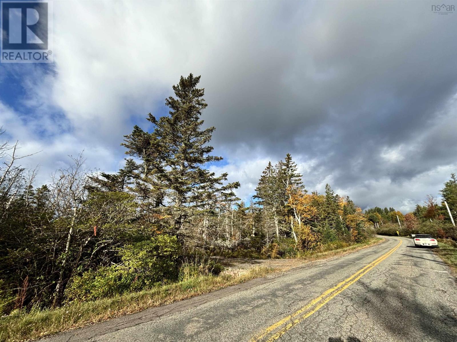 Highway 19 And East Street, Port Hood, Nova Scotia  B0E 2W0 - Photo 35 - 202424945