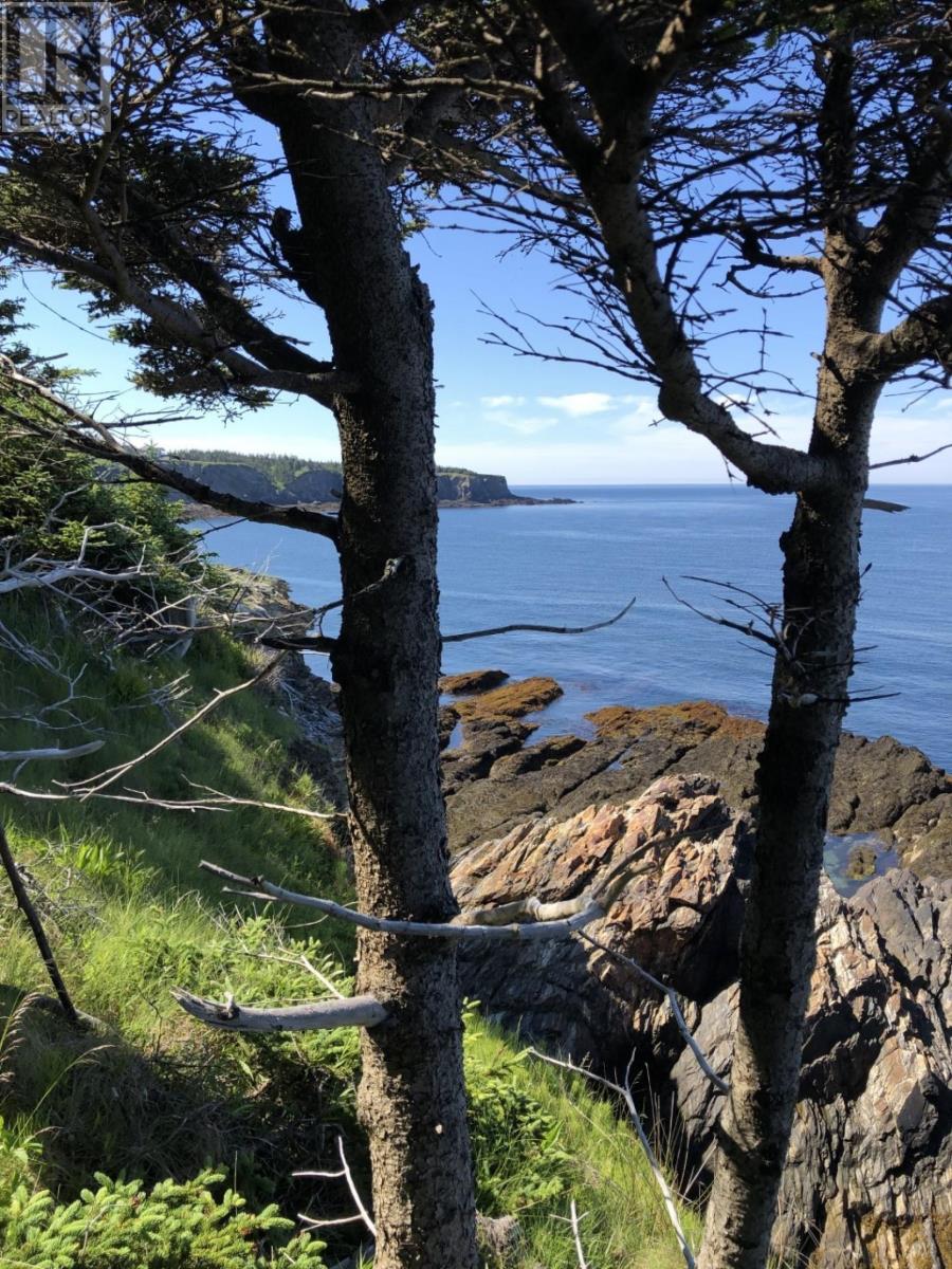 Lot 1b Pepperrell Road, Cape St Marys, Nova Scotia  B5A 5B4 - Photo 2 - 202512396
