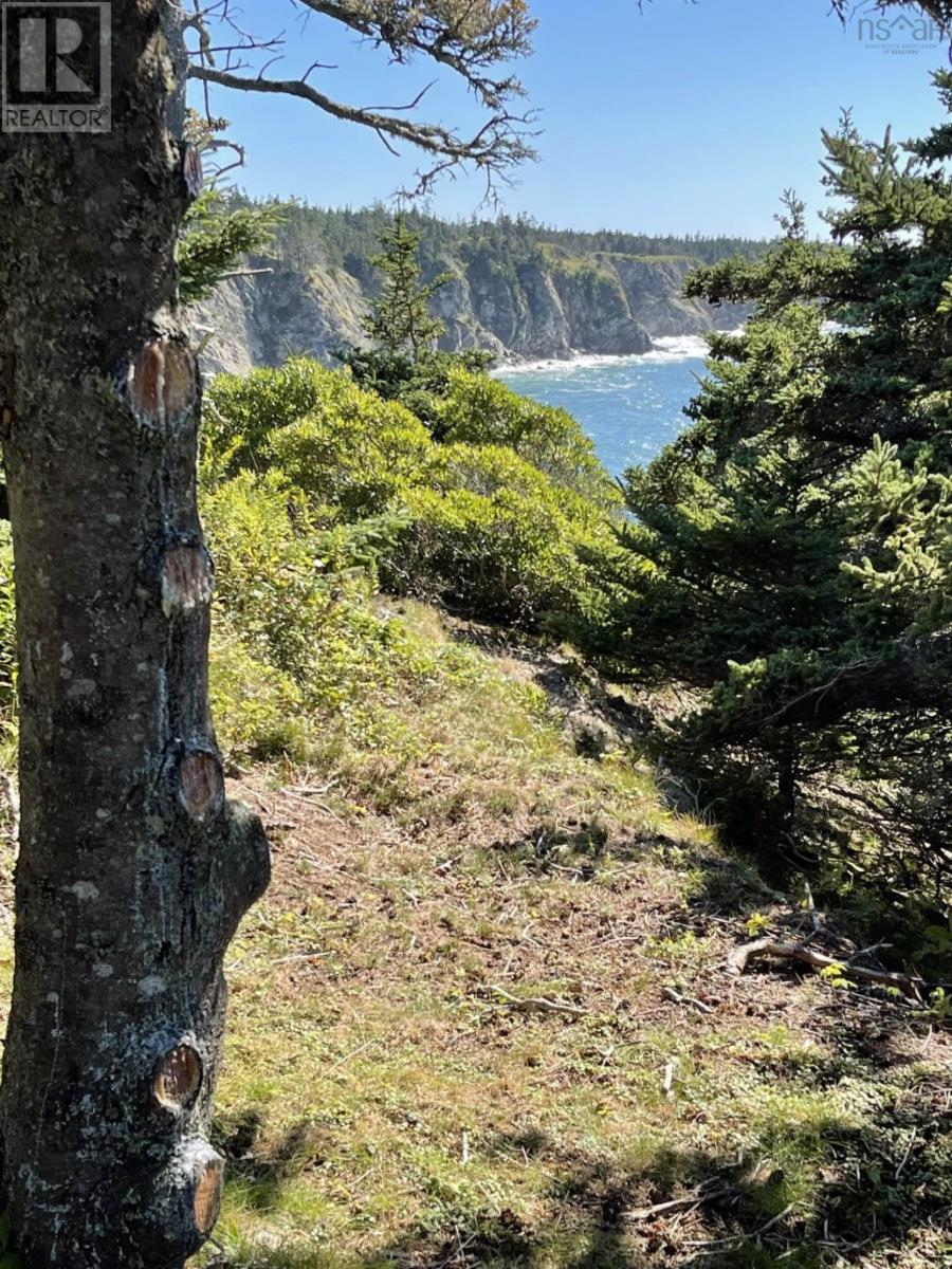 Lot 1b Pepperrell Road, Cape St Marys, Nova Scotia  B5A 5B4 - Photo 43 - 202512396