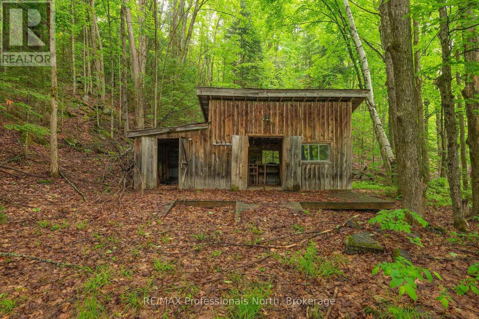 1006 Tennyson Road, Minden Hills, Ontario  K0M 2K0 - Photo 11 - X12206061