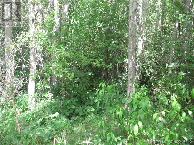 1112 Pass Creek Road, robson, British Columbia V0G1X0