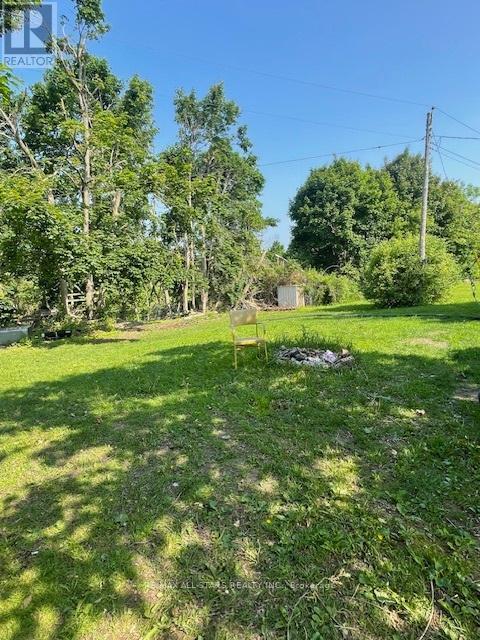 4099 Hwy 35, Kawartha Lakes, Ontario  K0M 1G0 - Photo 3 - X11926184