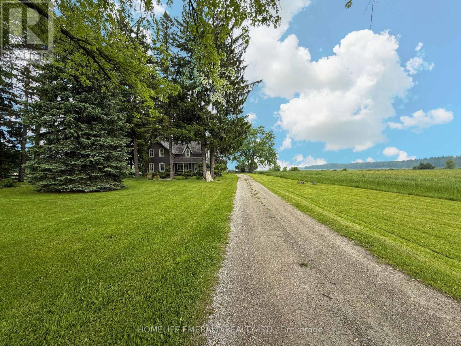 10187 County Road 10 Road, Clearview, Ontario  L0M 1N0 - Photo 2 - S12206014